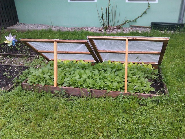 Domácí pařeniště na pěstování sazenic