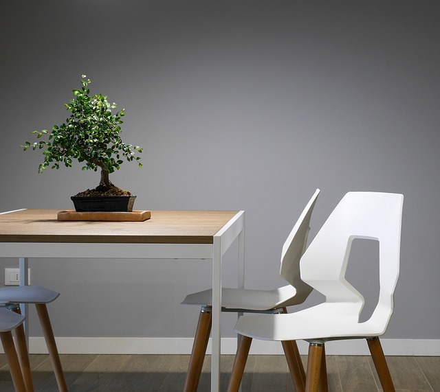 Moderní bílá plastová židle