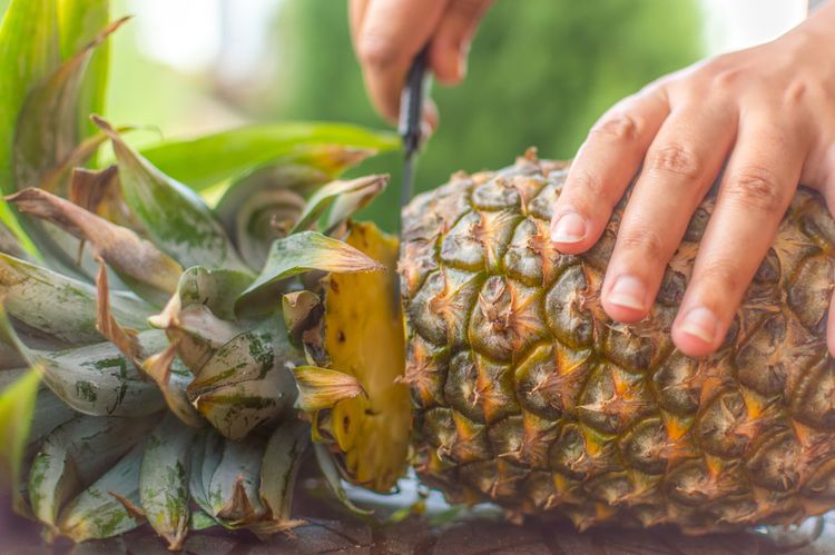 Návod jak vypěstovat ananas z odřezku