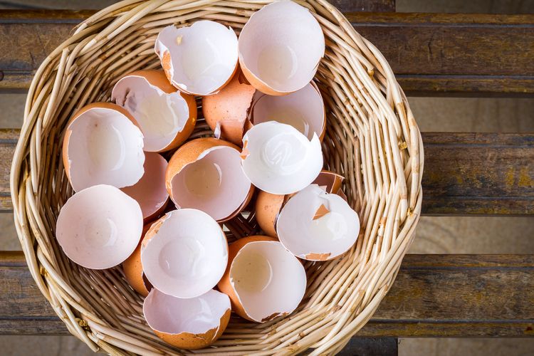 Tipy jak nejlépe využít skořápky z vajíčka