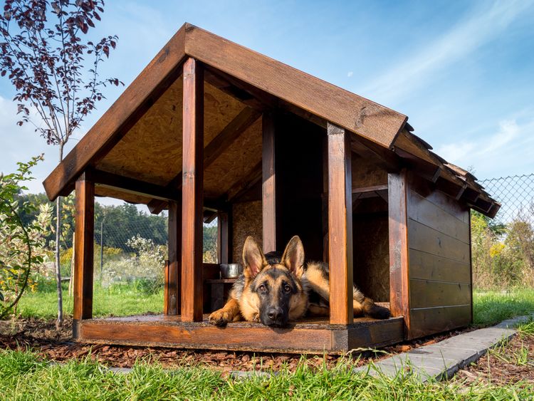 Dřevěná bouda pro psa se šikmou střechou