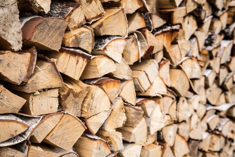 Sušení a skladování dřeva na topení