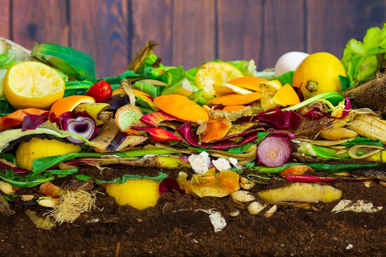 Nejkvalitnější kompost bývá až po 2 letech
