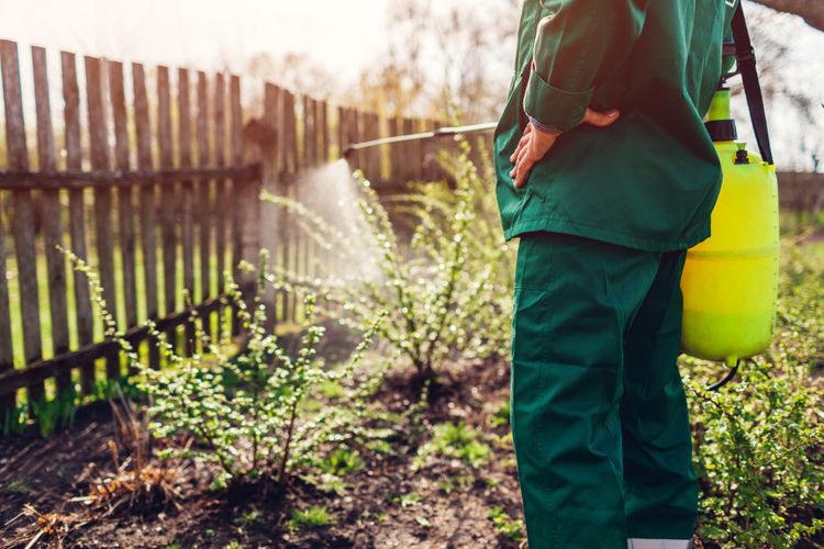 Jak vyčistit zahradní postřikovač?