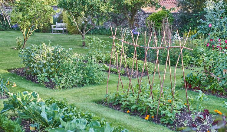 Jak si rozvrhnout zeleninovou zahradu