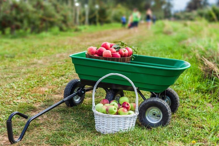 Jak vybrat zahradní vozík