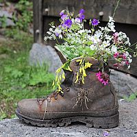 Oživte svoji zahradu netradičními květináči – vana, deštník, bicykl nebo konev plné květin