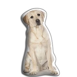 Polštářek Adorable Cushions Zlatý labrador