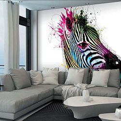 Velkoformátová tapeta Barevná zebra, 366 x 254 cm