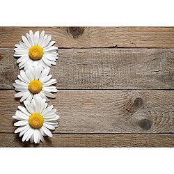 Vinylová předložka Daisy, 52 x 75 cm