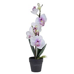 Orchidej v květináči bílá, 38 cm