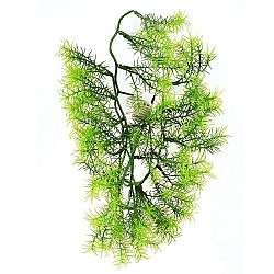 Umělá květina Asparagus, 40 cm