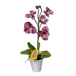 Umělá Orchidej v květináči fialová, 35 cm