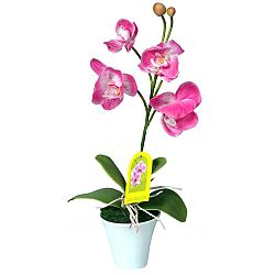 Umělá Orchidej v květináči růžová, 35 cm