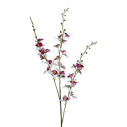 Orchidej 3018125mm-81