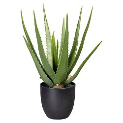 Umělá Rostlina Aloe Vera, 47cm