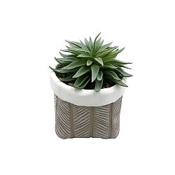 Umělá Rostlina Sukkulente, Ø/v: 11/17cm