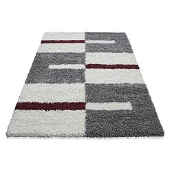 Kusový koberec Gala 2505 red-60x110