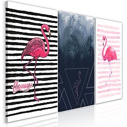 Obraz - Flamingos (Collection)