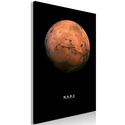 Obraz - Mars (1 Part) Vertical