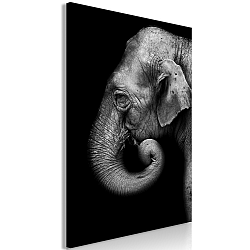 Obraz - Portrait of Elephant (1 Part) Vertical