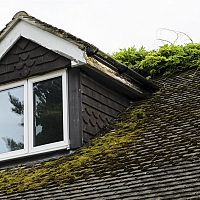Jak odstranit mech ze střechy?