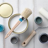 Antialergická interiérová barva – prevence vzniku plísní v bytě