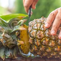 Jak vypěstovat ananas z odřezku