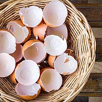 Jak využít skořápky z vajec? Na zahradě do kompostu a na květy jako hnojivo