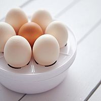 Vařiče vajec – recenze, test, návod na použití. Oblíbené jsou značky Delimano a Sencor