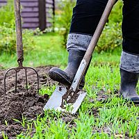 Jak připravit zahradu na jaro – příprava půdy na sázení, kdy rýt