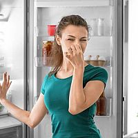 Jak odstranit zápach z ledničky? Zkuste vyčistit odtok nebo použít pohlcovač pachu