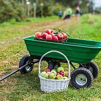 Zahradní vozík na kolečkách – jak vybrat, využití