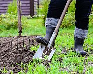 Jak připravit zahradu na jaro – příprava půdy na sázení, kdy rýt