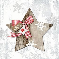 Balení 10 papírových ubrousků s vánočním motivem PPD Country Xmas Star