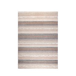 Hnědý ručně vyráběný koberec Dutchbone Arizona, 170 x 240jcm
