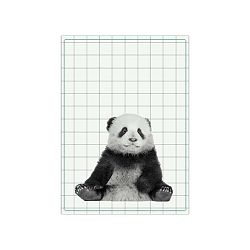 Kuchyňská utěrka PT LIVING Panda, 50 x 70 cm