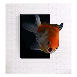 Nástěnný 3D obraz Mosticx Nemo, 40 x 60 cm