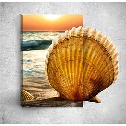 Nástěnný 3D obraz Mosticx Seashell, 40 x 60 cm