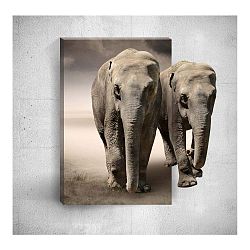 Nástěnný 3D obraz Mosticx Two Elephants, 40 x 60 cm