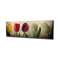 Nástěnný obraz na plátně Tulip, 80 x 30 cm