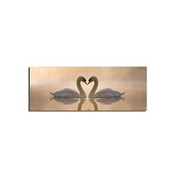 Obraz na plátně Swan Love, 90 x 30 cm