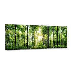 Obraz Styler Glasspik Nature Sunlight, 50 x 125 cm