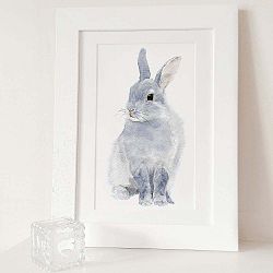 Plakát Bunny A4