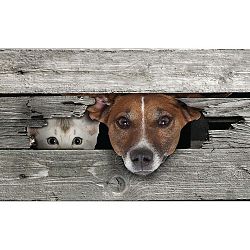 Podložka pod litinovou rohožku Esschert Design Cat & Dog, 75,2 x 45,4 cm
