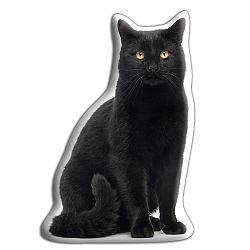 Polštářek Adorable Cushions Černá kočka