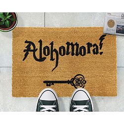 Rohožka Artsy Doormats Alohomora, 40 x 60 cm