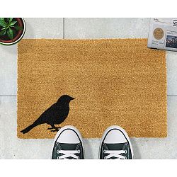 Rohožka Artsy Doormats Bird, 40 x 60 cm
