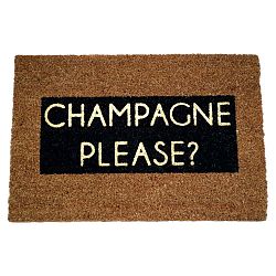 Rohožka Artsy Doormats Champagne Glitter, 40 x 60 cm