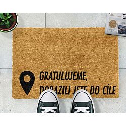 Rohožka Artsy Doormats Cíl, 40 x 60 cm